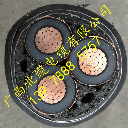 www.t1485.cn