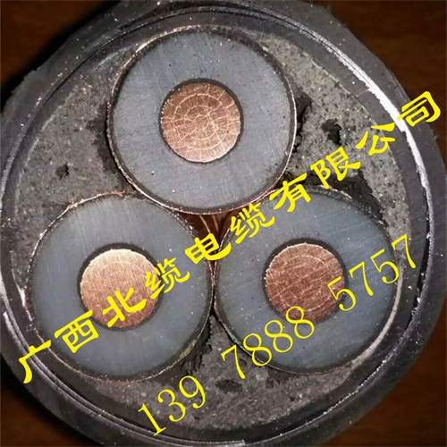 www.t1485.cn