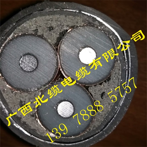www.t1485.cn