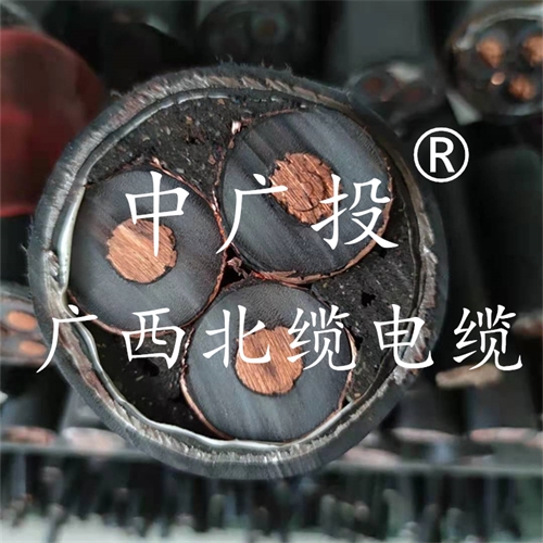 www.t1485.cn