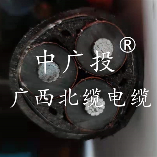 www.t1485.cn