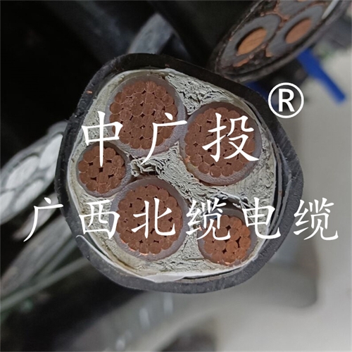 www.t1485.cn