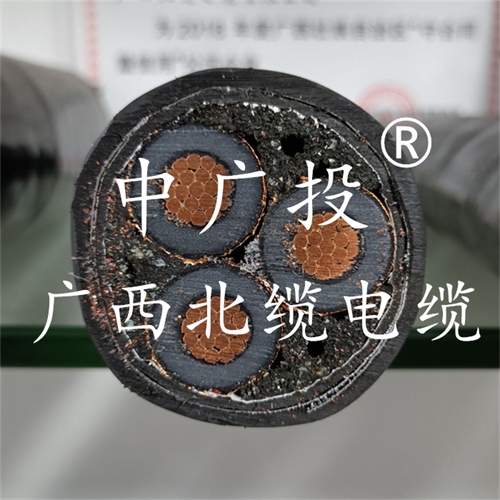 www.t1485.cn