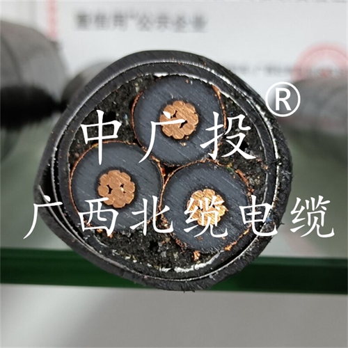www.t1485.cn