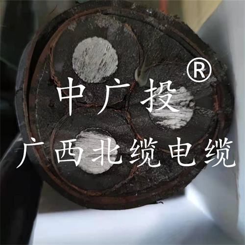 www.t1485.cn