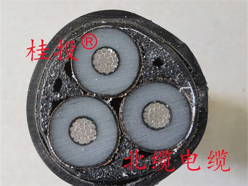 www.t1485.cn