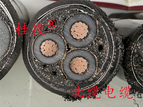 www.t1485.cn