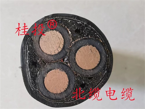 www.t1485.cn