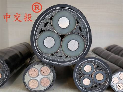 www.t1485.cn