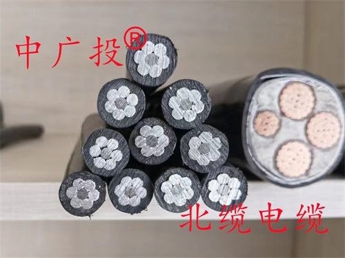www.t1485.cn