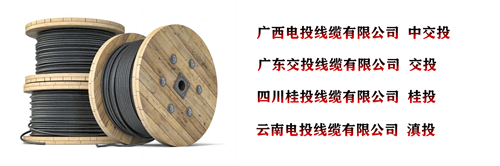 www.t1485.cn